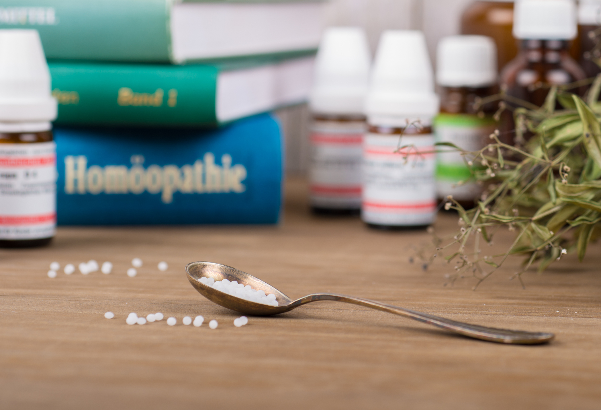 Grundlagen der Homöopathie