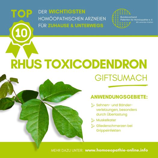 Top 10 Rhus tox